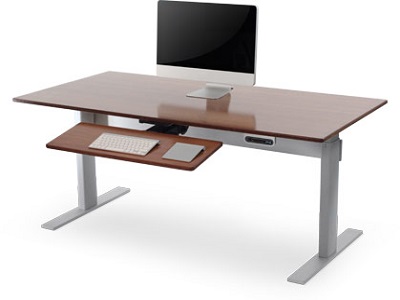 NextDesk Adjustable Desk